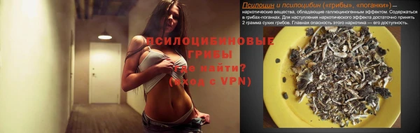 спиды Арсеньев