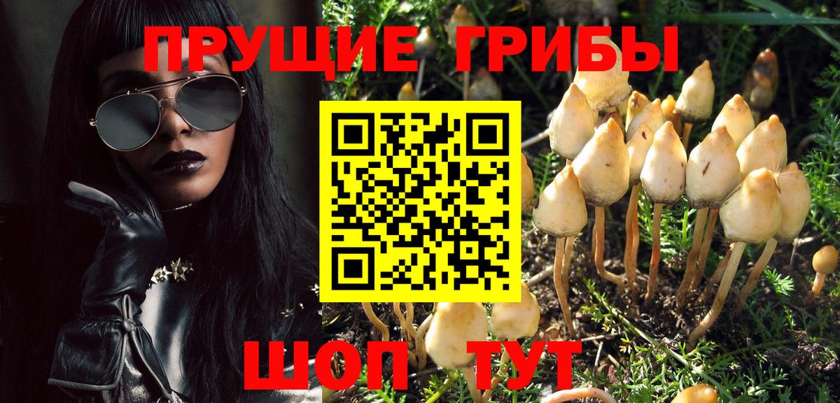 Псилоцибиновые грибы мухоморы  Вход с VPN  Тобольск 